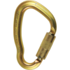 Carabiner Viper Steel TW Skylotec