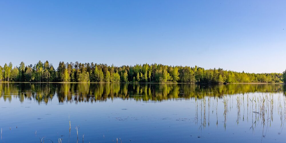 Certexin poikkeusaukioloajat kesällä 2022